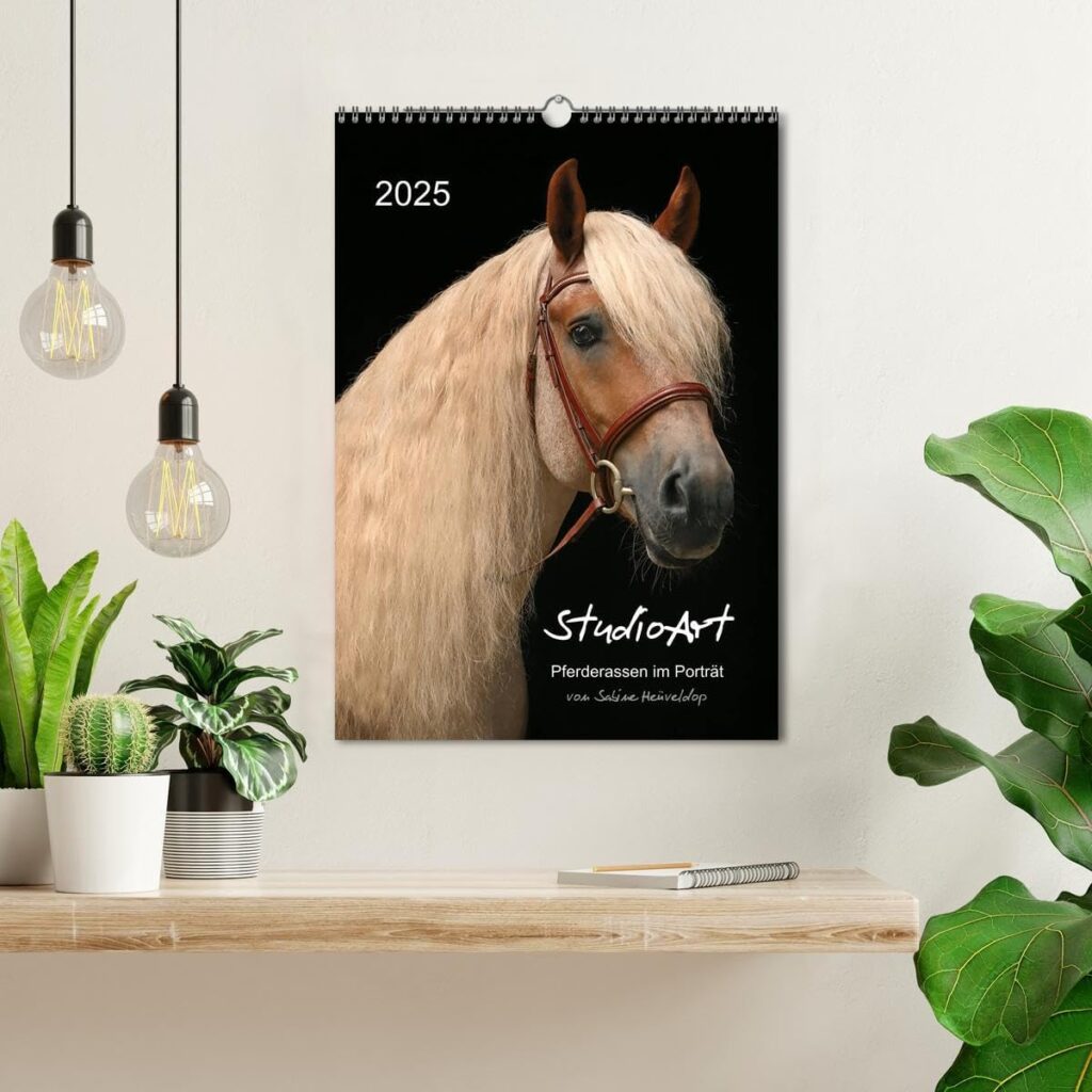 Kalender Studioart - Sabine Heüveldop